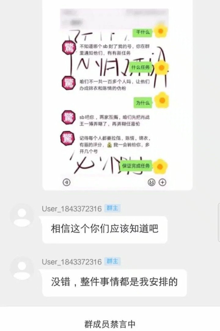 芽家是哪个明星的粉丝？