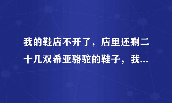 我的鞋店不开了，店里还剩二十几双希亚骆驼的鞋子，我想把它们拿到网上去卖，会有人买吗