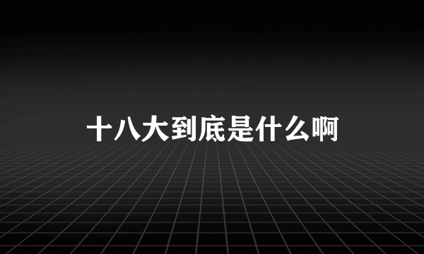 十八大到底是什么啊
