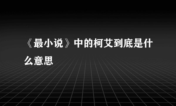 《最小说》中的柯艾到底是什么意思