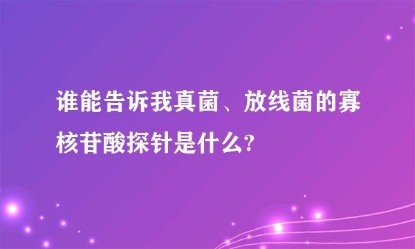 谁能告诉我真菌、放线菌的寡核苷酸探针是什么?