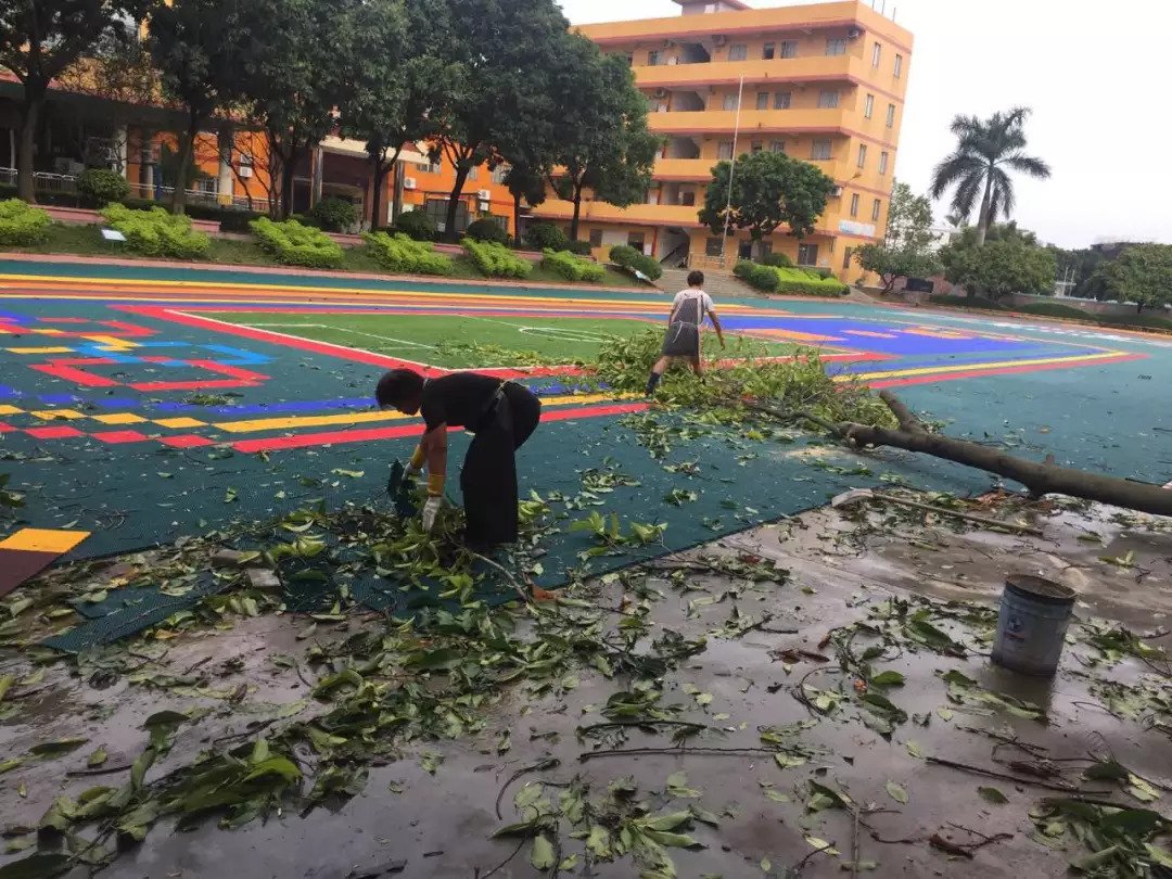 深圳全市中小学幼儿园因台风停课,他们是否会转为线上教学?