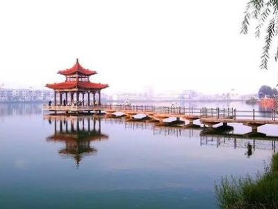 曹县县长回应“曹县走红”，她是怎么说的？