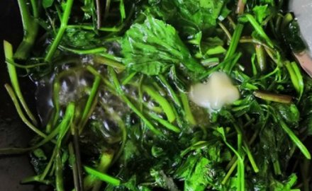 鸭脚板野菜的功效和作用是什么？