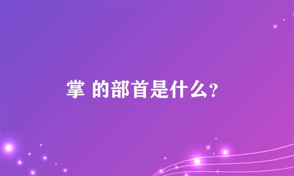 掌 的部首是什么？