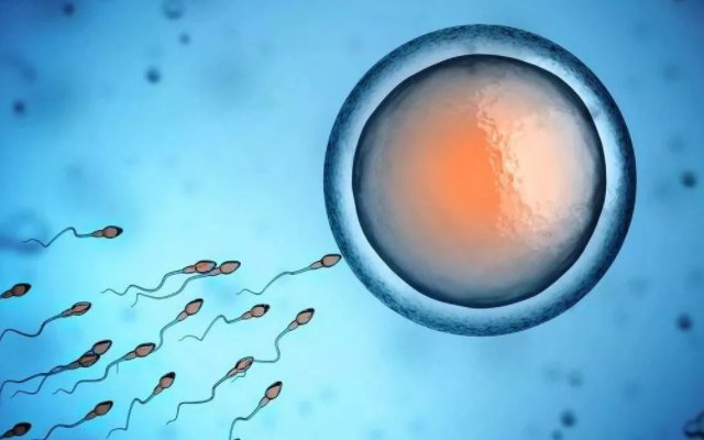 辅助生殖技术需求飙升，你如何看待这一现象？