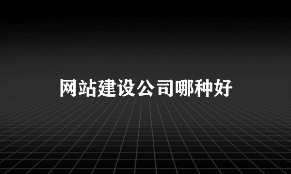 网站建设公司哪种好