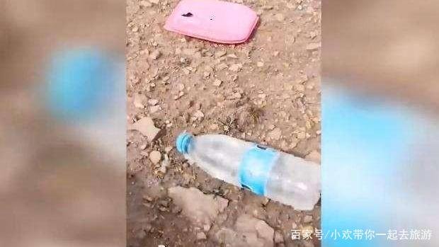 怎么判定在可可西里失踪的女孩自杀呢？