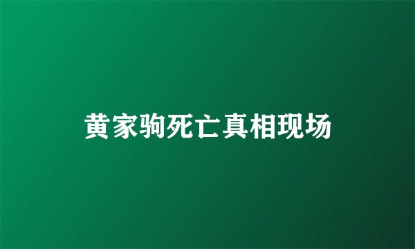 黄家驹死亡真相现场