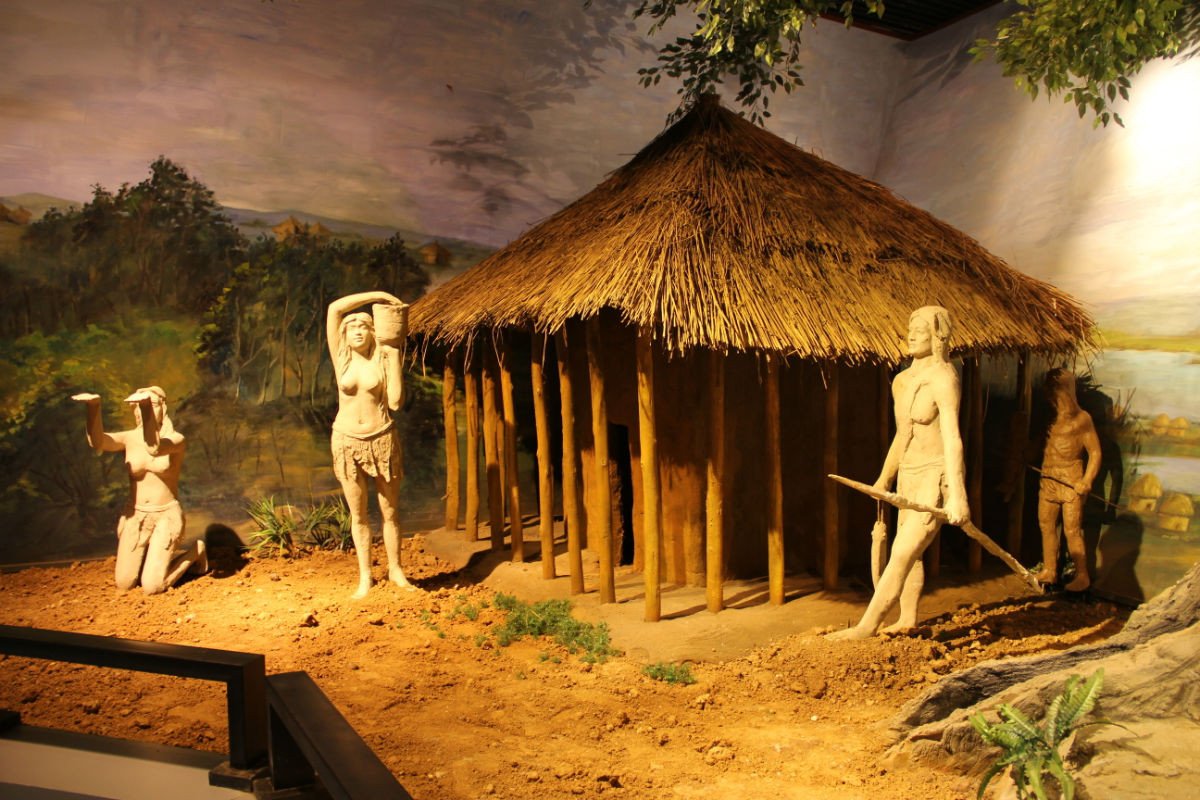 仰韶文化是我国历史上哪个时代中期的文化