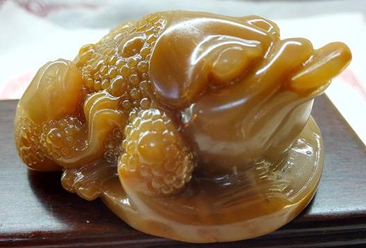 俗话三条腿的蛤蟆叫什么