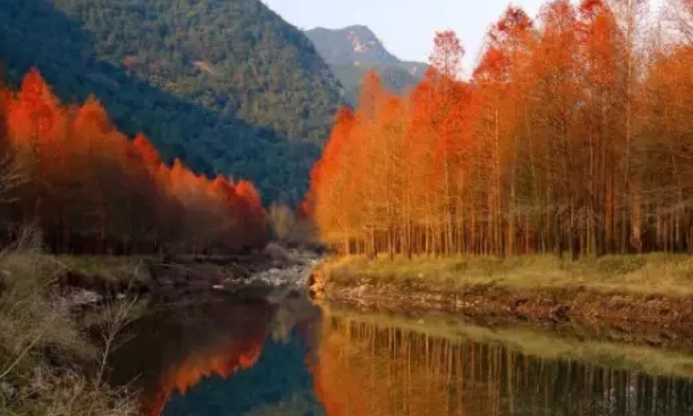 上海周边自驾游有哪些路线？可以说说吗？