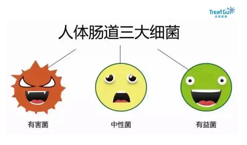 肠道菌群检测是什么？如何检测？