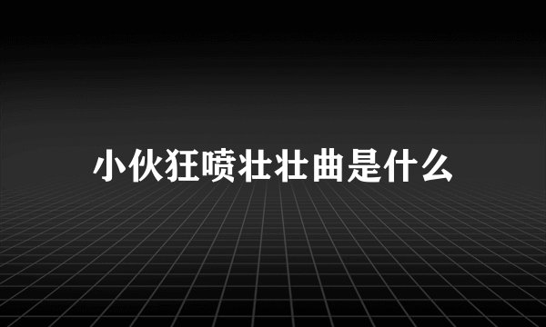 小伙狂喷壮壮曲是什么