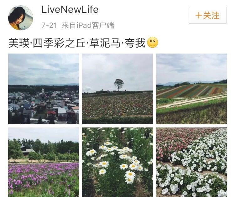 怎么看疑似危秋洁告别信“活了27年努力不下去了”?