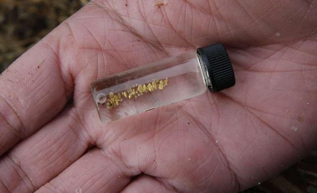 美国加州北部掀起淘金热？