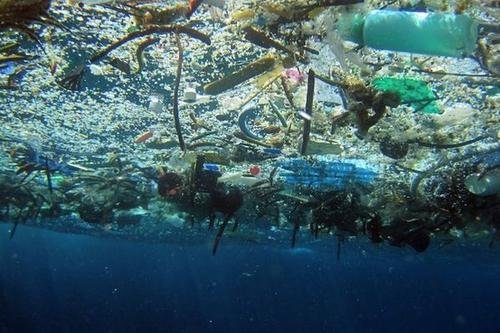 漂浮在海上的巨大垃圾场会给人们带来怎样的绝望？