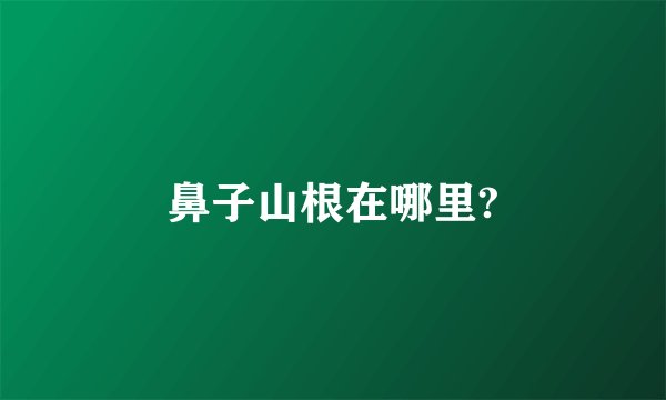 鼻子山根在哪里?