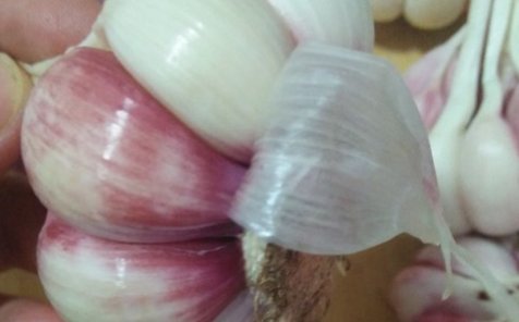 甜蒜怎么腌制方法