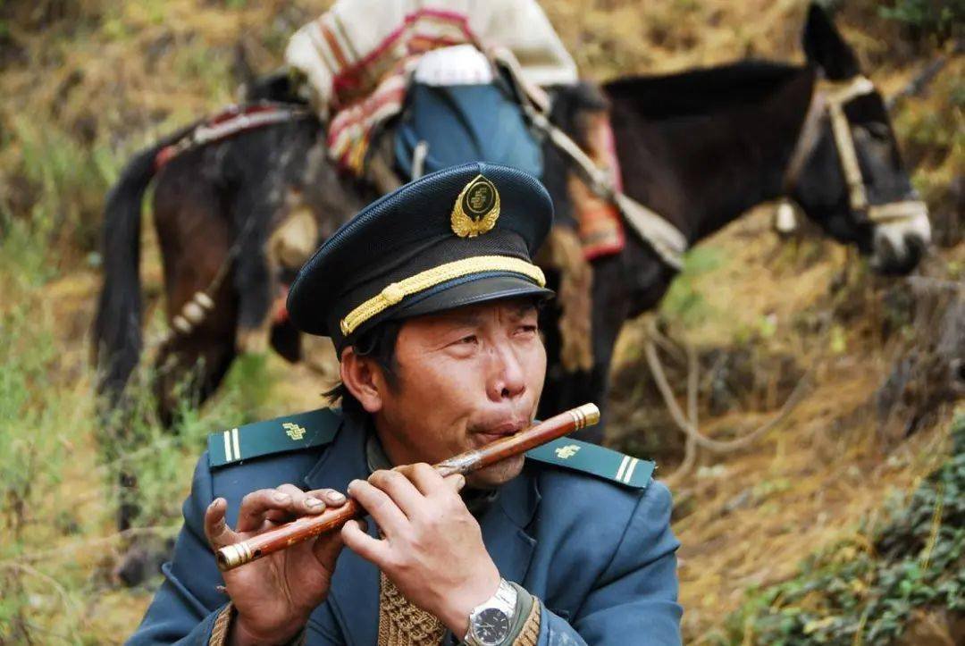 感动中国邮递员王顺友去世,他的身上有哪些感人事迹?