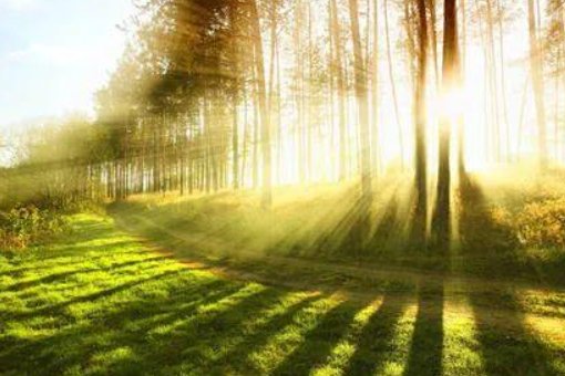 求代表阳光的汉字？