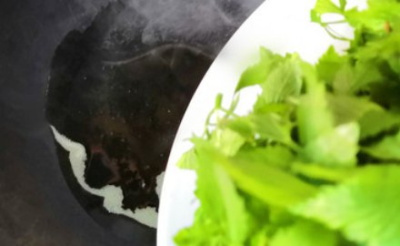 鸭脚板野菜的功效和作用是什么？