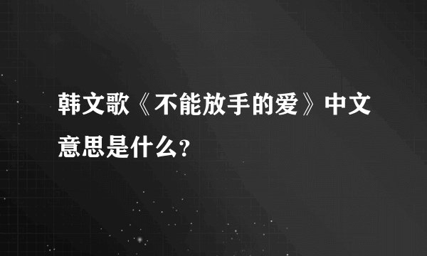 韩文歌《不能放手的爱》中文意思是什么？