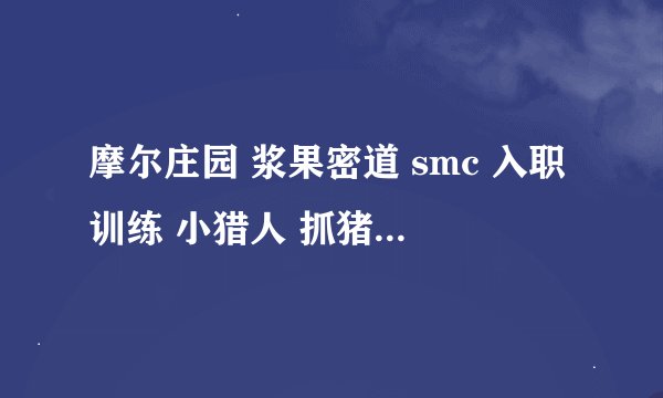 摩尔庄园 浆果密道 smc 入职训练 小猎人 抓猪 怎么抓？蓝色的用泡泡果实和水弹怎么都没用？