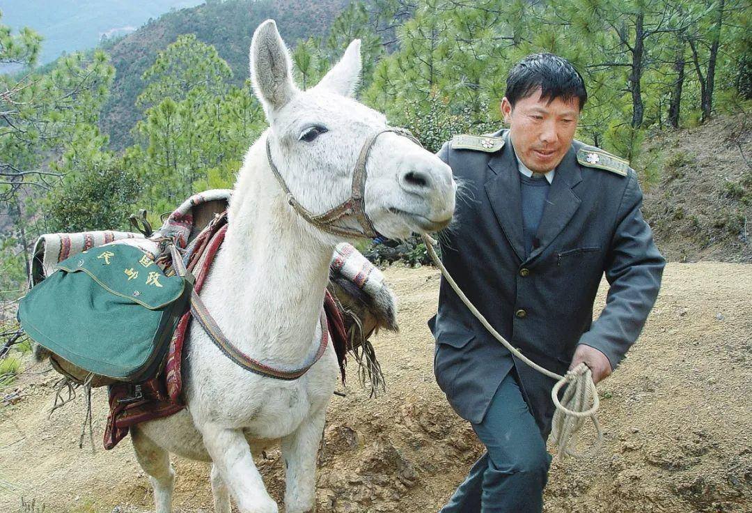 感动中国邮递员王顺友去世,他的身上有哪些感人事迹?