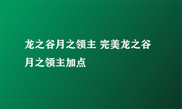 龙之谷月之领主 完美龙之谷月之领主加点