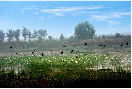 顺义有哪些好玩的地方?