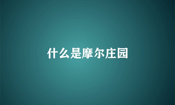 什么是摩尔庄园