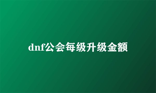 dnf公会每级升级金额