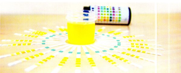 肾功能不好有什么症状