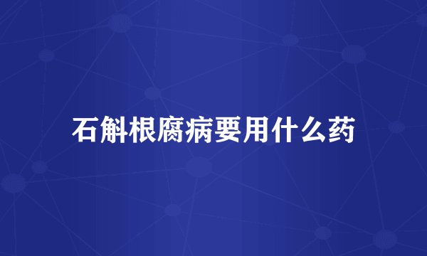 石斛根腐病要用什么药