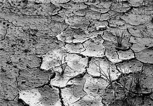 地球上淡水并不算多，为什么用了这么久还没用完？