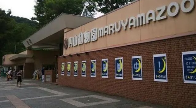 世界上最危险的动物园