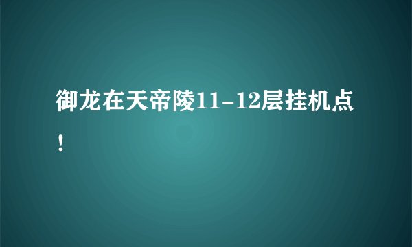 御龙在天帝陵11-12层挂机点！