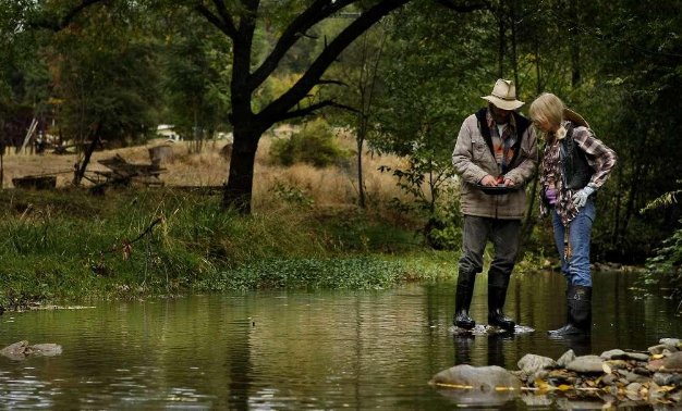 美国加州北部掀起淘金热?