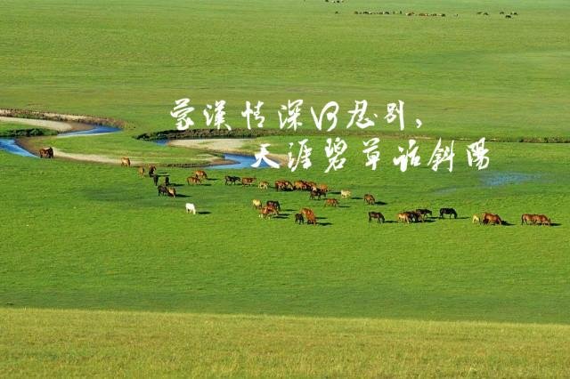 “蒙汉情深何忍别,天涯碧草话斜阳”的意思是什么?