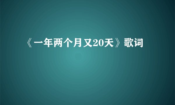 《一年两个月又20天》歌词
