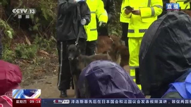 专家称第二个黑匣子信号发射器可能受损,搜寻难度有多大?