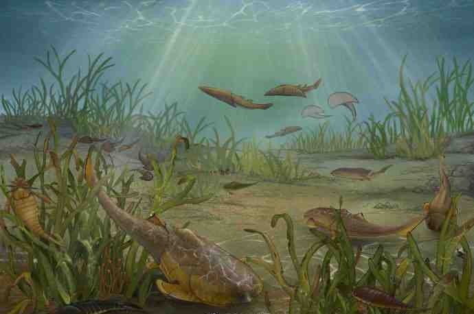 重庆现4.23亿年前袖珍边城鱼,它的生活习性是怎样的?