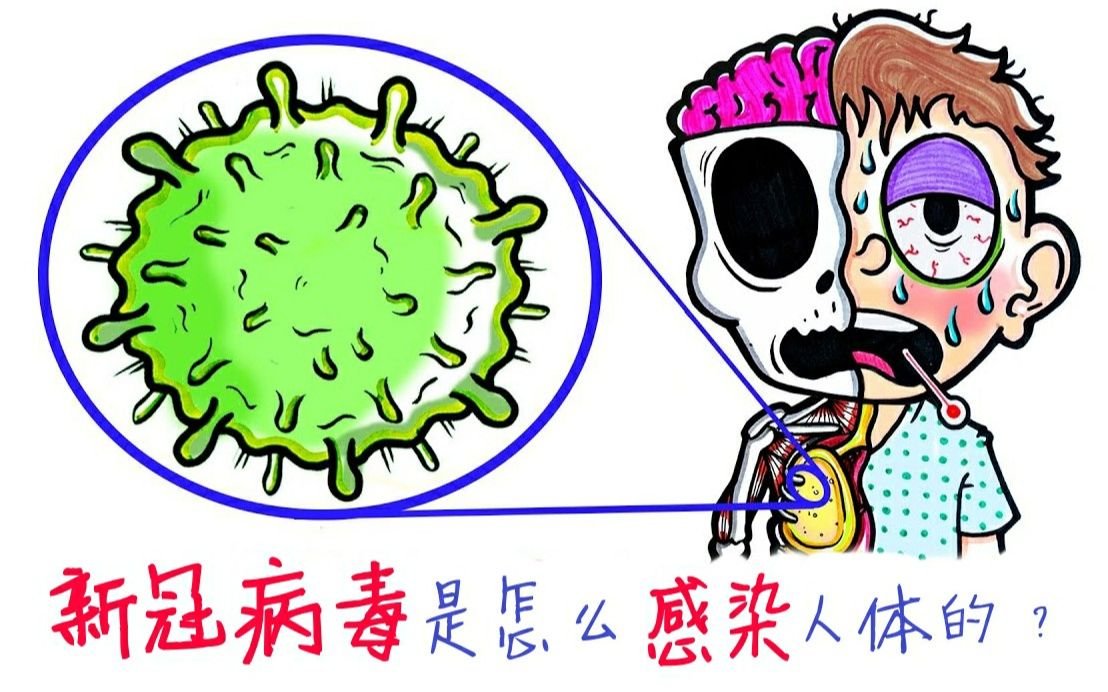 感染新型冠状病毒的初期表现有哪些症状？