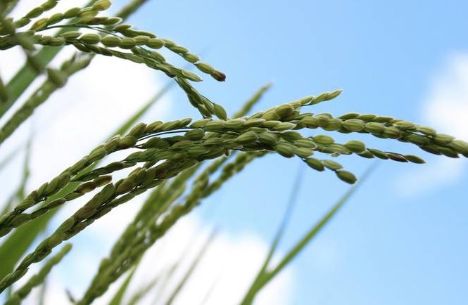 女人的身体都有什么“秘密”？