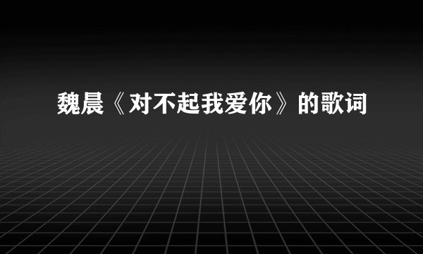 魏晨《对不起我爱你》的歌词