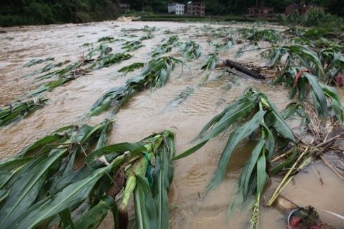 强降雨造成广西超32万人受灾，灾后救援如何快速开展？