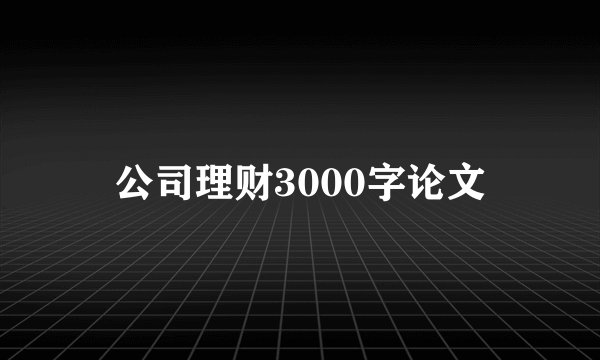 公司理财3000字论文