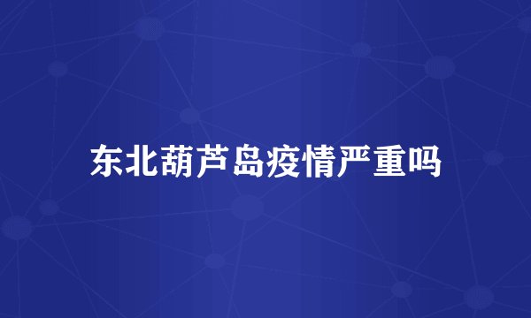 东北葫芦岛疫情严重吗