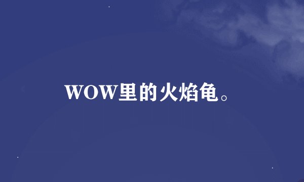 WOW里的火焰龟。
